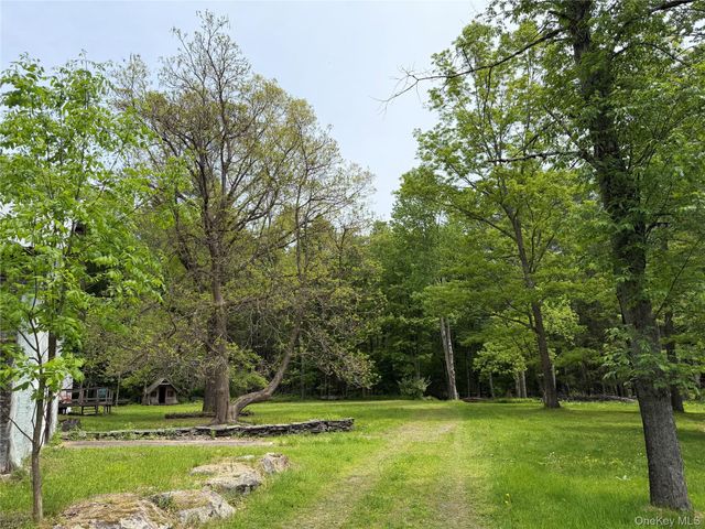 21 Hoffmann Street, Hankins, NY 12741