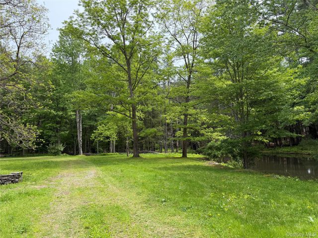 21 Hoffmann Street, Hankins, NY 12741