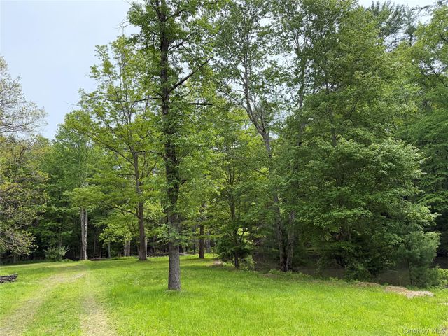 21 Hoffmann Street, Hankins, NY 12741
