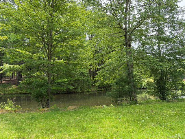 21 Hoffmann Street, Hankins, NY 12741