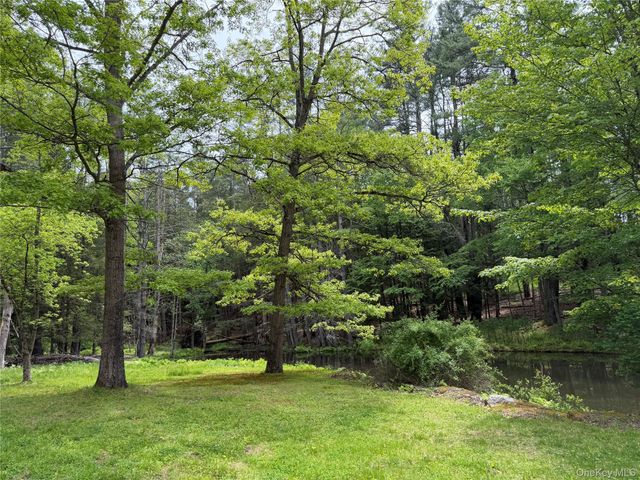 21 Hoffmann Street, Hankins, NY 12741