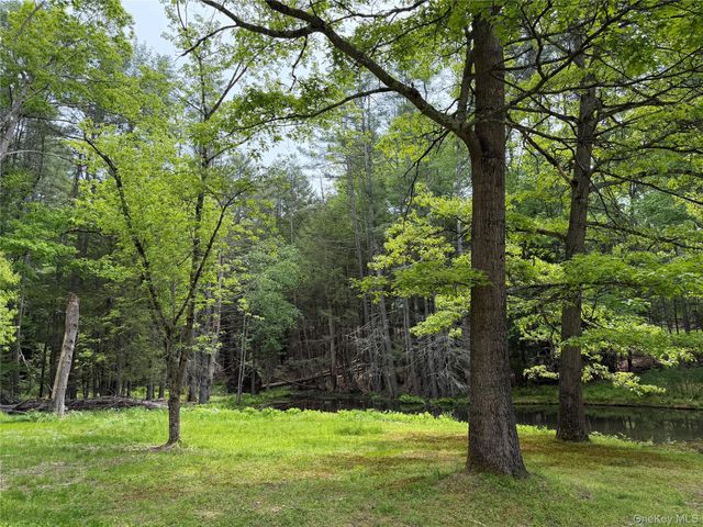 21 Hoffmann Street, Hankins, NY 12741