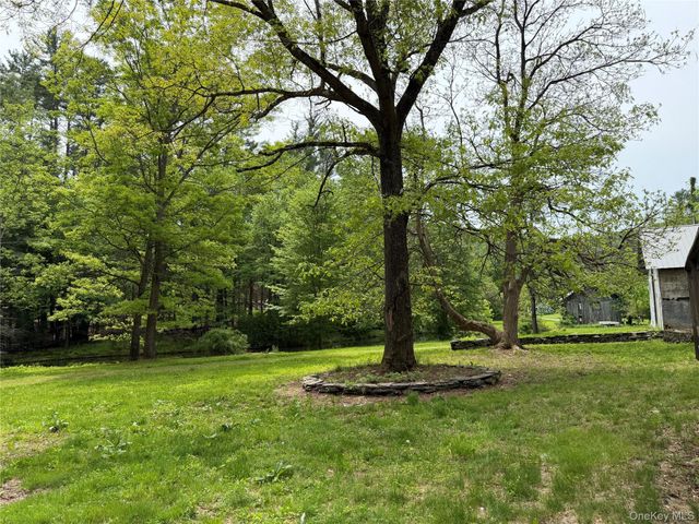 21 Hoffmann Street, Hankins, NY 12741