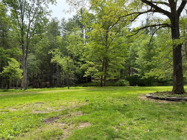 21 Hoffmann Street, Hankins, NY 12741