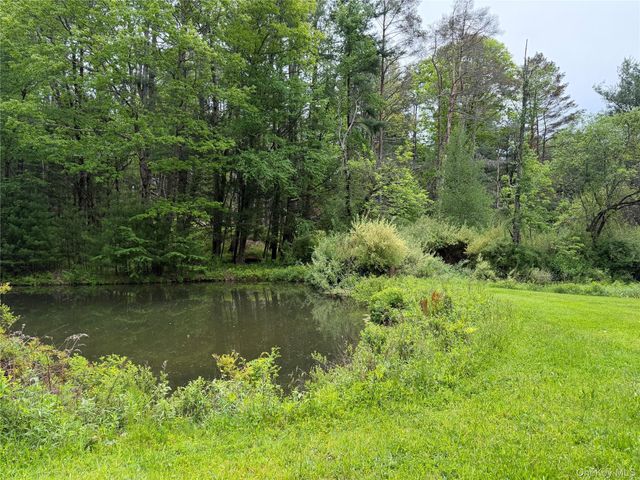 21 Hoffmann Street, Hankins, NY 12741