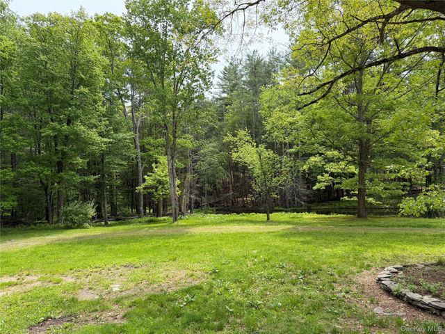 21 Hoffmann Street, Hankins, NY 12741