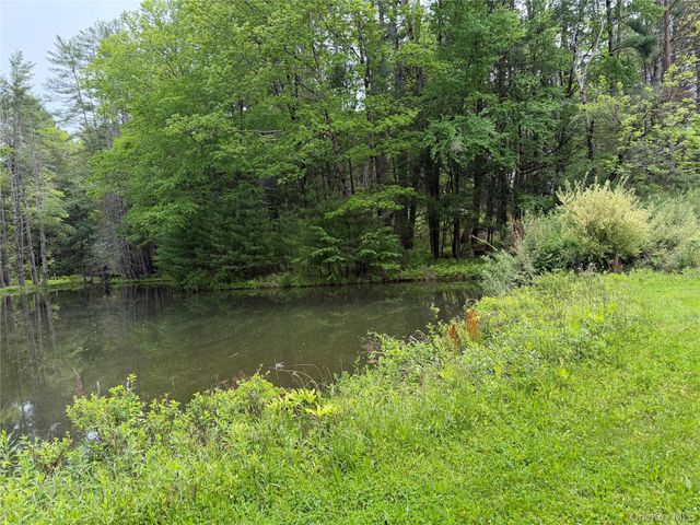 21 Hoffmann Street, Hankins, NY 12741