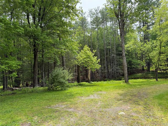 21 Hoffmann Street, Hankins, NY 12741