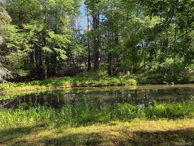21 Hoffmann Street, Hankins, NY 12741