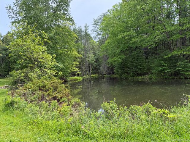 21 Hoffmann Street, Hankins, NY 12741