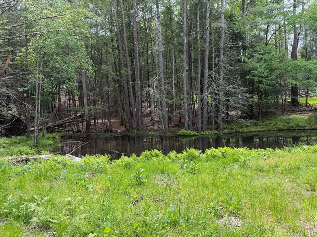 21 Hoffmann Street, Hankins, NY 12741