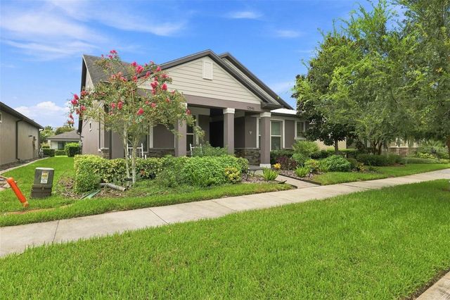 12846 PAYTON STREET, Odessa, FL 33556