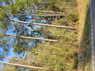 Ms-613 Highway, Moss Point, MS 39563