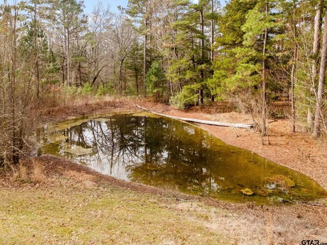 10614 CR 214, Tyler, TX 75707