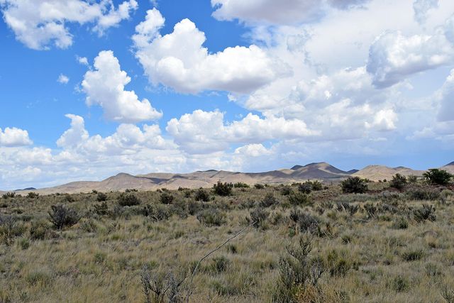 205 Muledeer Trail, San Antonio, NM 87832