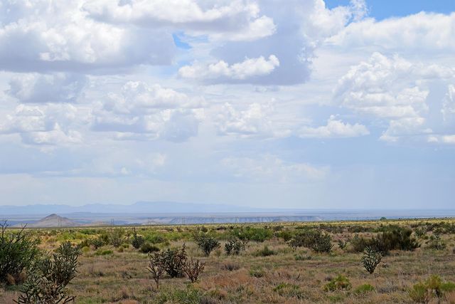 205 Muledeer Trail, San Antonio, NM 87832