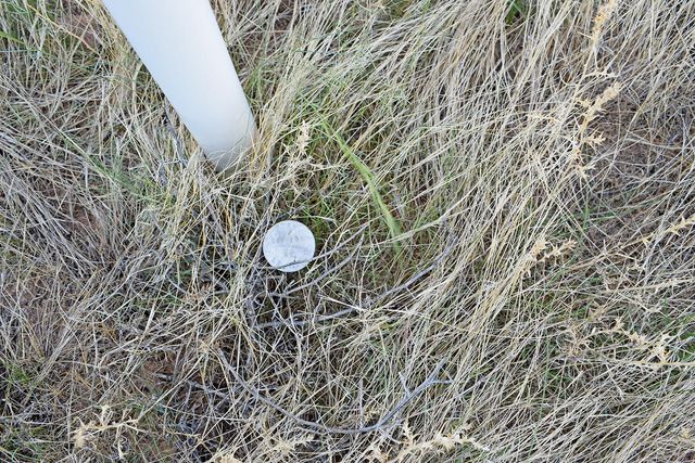 205 Muledeer Trail, San Antonio, NM 87832