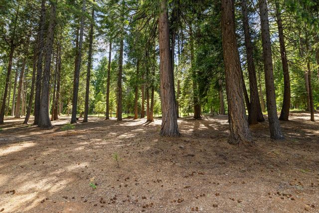 3070 Crystal Summit Rd, Pollock Pines, CA 95726