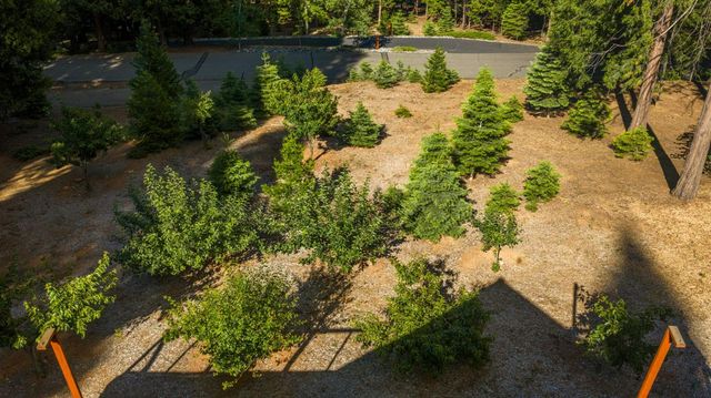 3070 Crystal Summit Rd, Pollock Pines, CA 95726