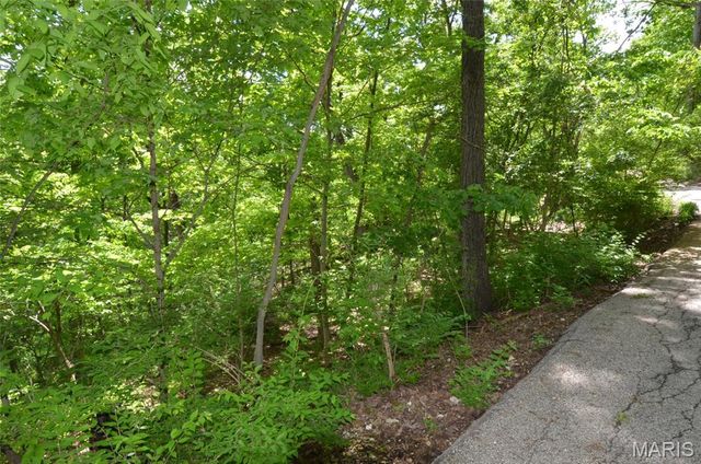1730 Chimney Top Farms Road, Wildwood, MO 63038