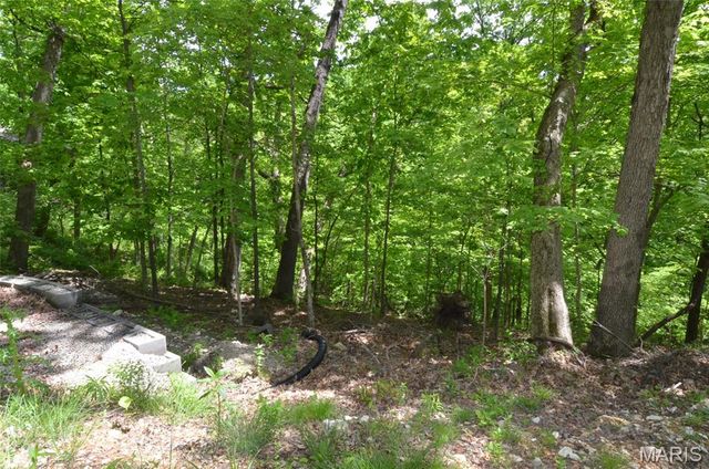 1730 Chimney Top Farms Road, Wildwood, MO 63038