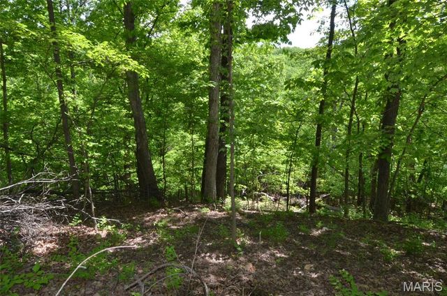 1730 Chimney Top Farms Road, Wildwood, MO 63038