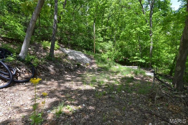 1730 Chimney Top Farms Road, Wildwood, MO 63038