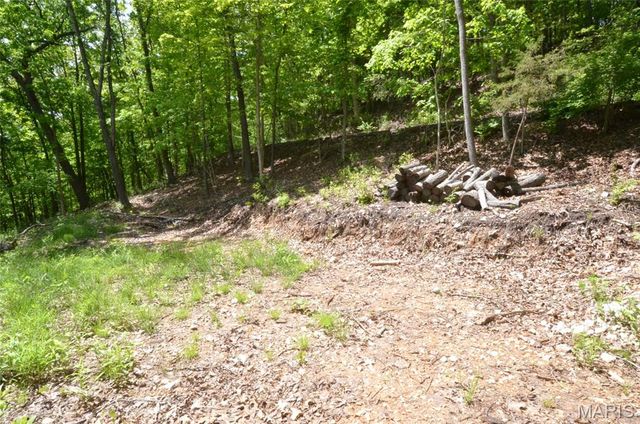 1730 Chimney Top Farms Road, Wildwood, MO 63038