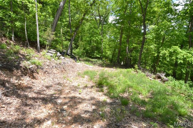 1730 Chimney Top Farms Road, Wildwood, MO 63038