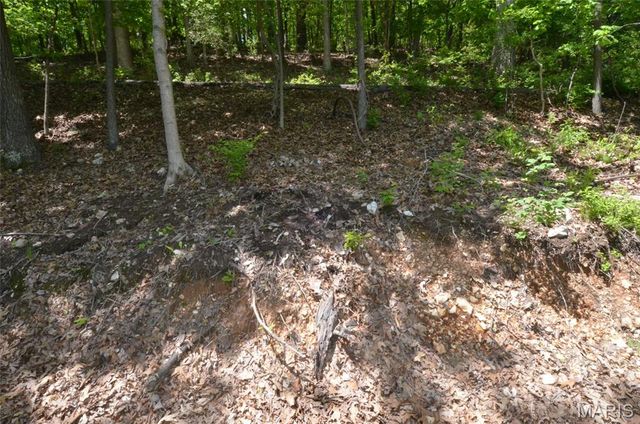 1730 Chimney Top Farms Road, Wildwood, MO 63038