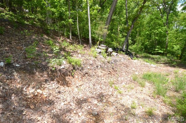 1730 Chimney Top Farms Road, Wildwood, MO 63038
