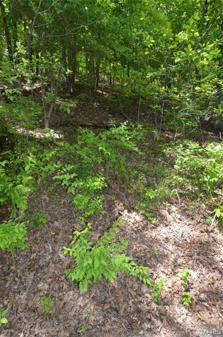 1730 Chimney Top Farms Road, Wildwood, MO 63038