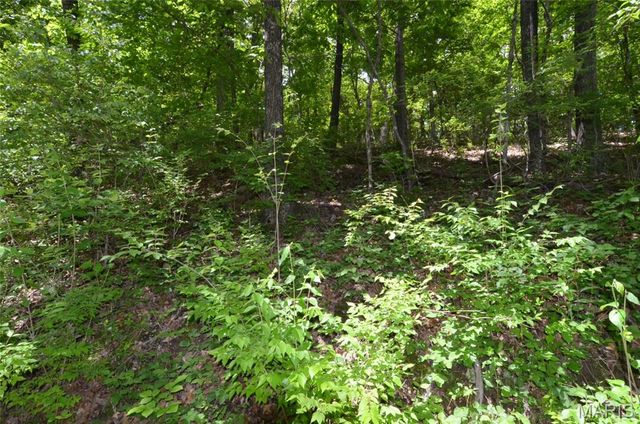 1730 Chimney Top Farms Road, Wildwood, MO 63038