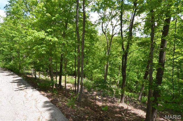 1730 Chimney Top Farms Road, Wildwood, MO 63038
