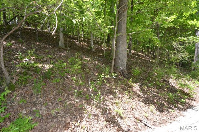 1730 Chimney Top Farms Road, Wildwood, MO 63038