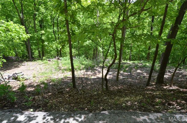 1730 Chimney Top Farms Road, Wildwood, MO 63038