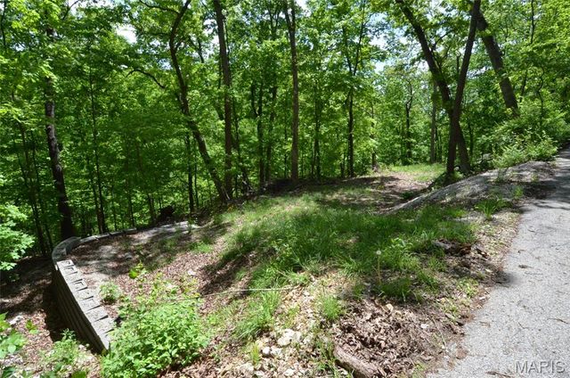 1730 Chimney Top Farms Road, Wildwood, MO 63038