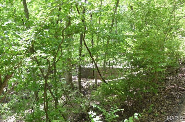 1730 Chimney Top Farms Road, Wildwood, MO 63038