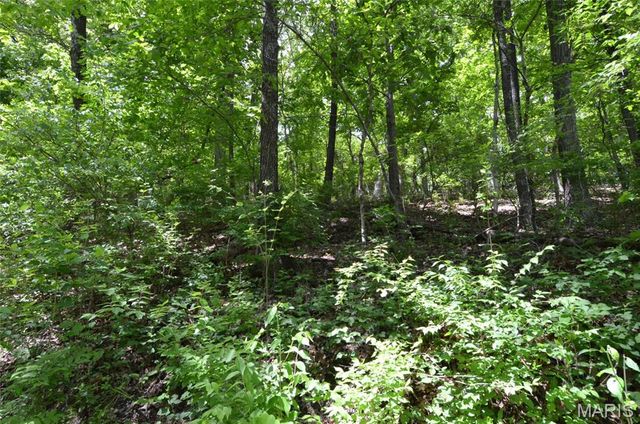 1730 Chimney Top Farms Road, Wildwood, MO 63038