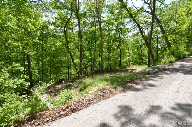 1730 Chimney Top Farms Road, Wildwood, MO 63038