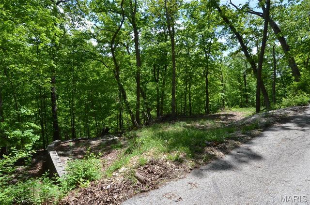 1730 Chimney Top Farms Road, Wildwood, MO 63038