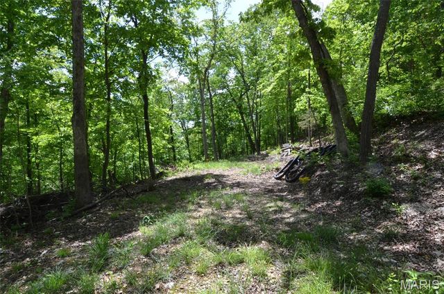 1730 Chimney Top Farms Road, Wildwood, MO 63038