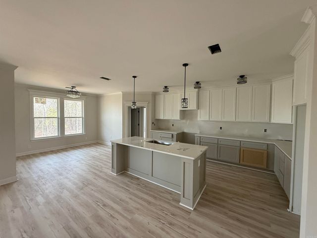 518 Madeleine Circle, Austin, AR 72007