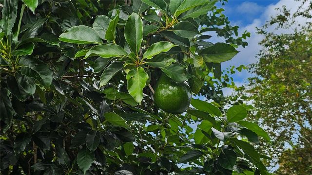 121 E YELKCA TERRACE, Edgewater, FL 32132