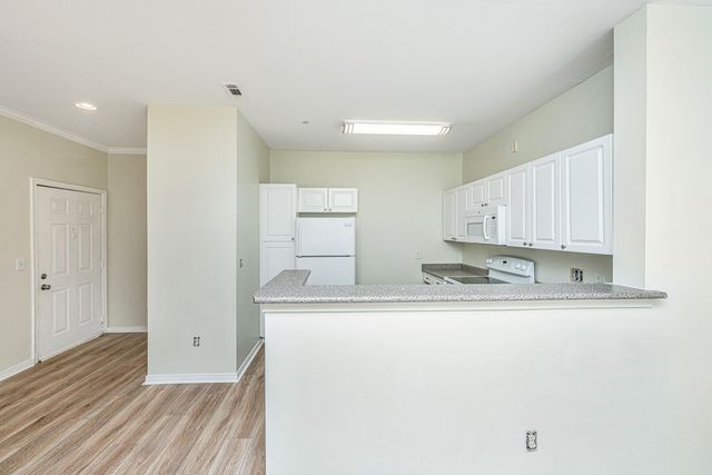 130 River Landing Drive Unit 3113, Charleston, SC 29492