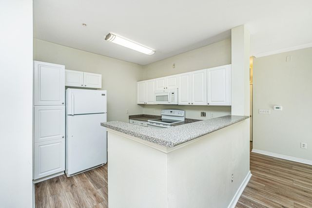 130 River Landing Drive Unit 3113, Charleston, SC 29492