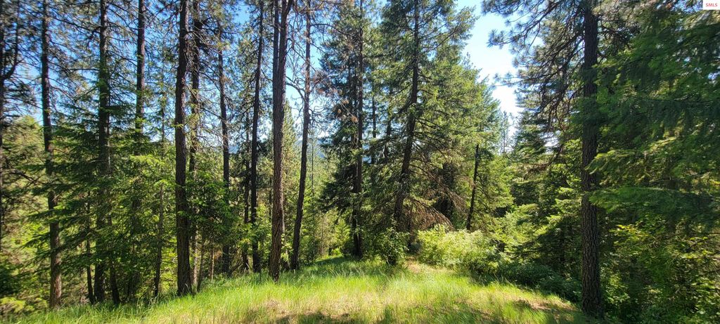 NNA S. Bobsled Trail, Coeur d'Alene, ID 83814 photo 10