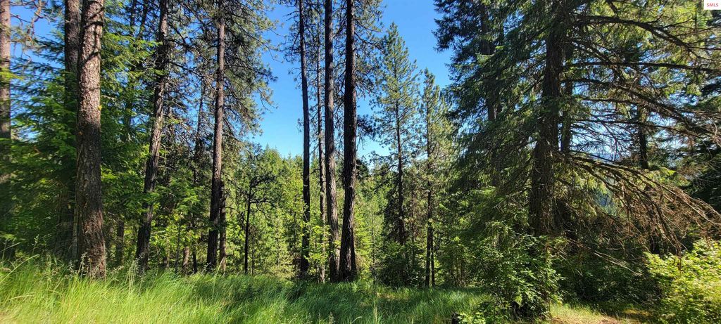 NNA S. Bobsled Trail, Coeur d'Alene, ID 83814 photo 11