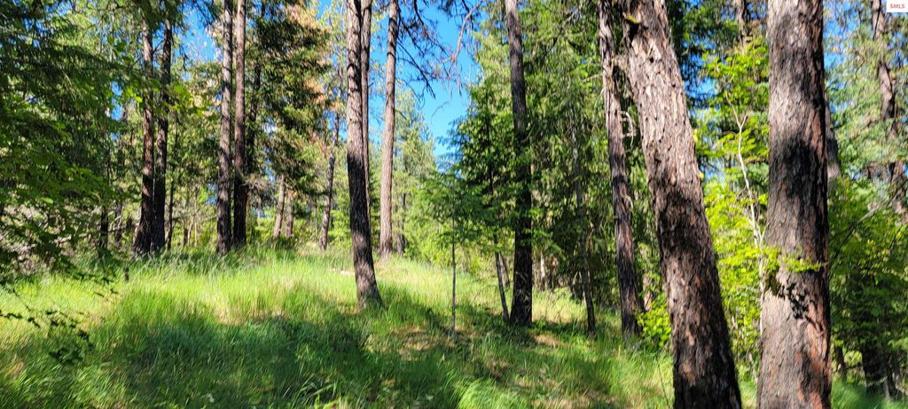 NNA S. Bobsled Trail, Coeur d'Alene, ID 83814 photo 12