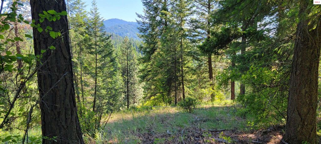 NNA S. Bobsled Trail, Coeur d'Alene, ID 83814 photo 13